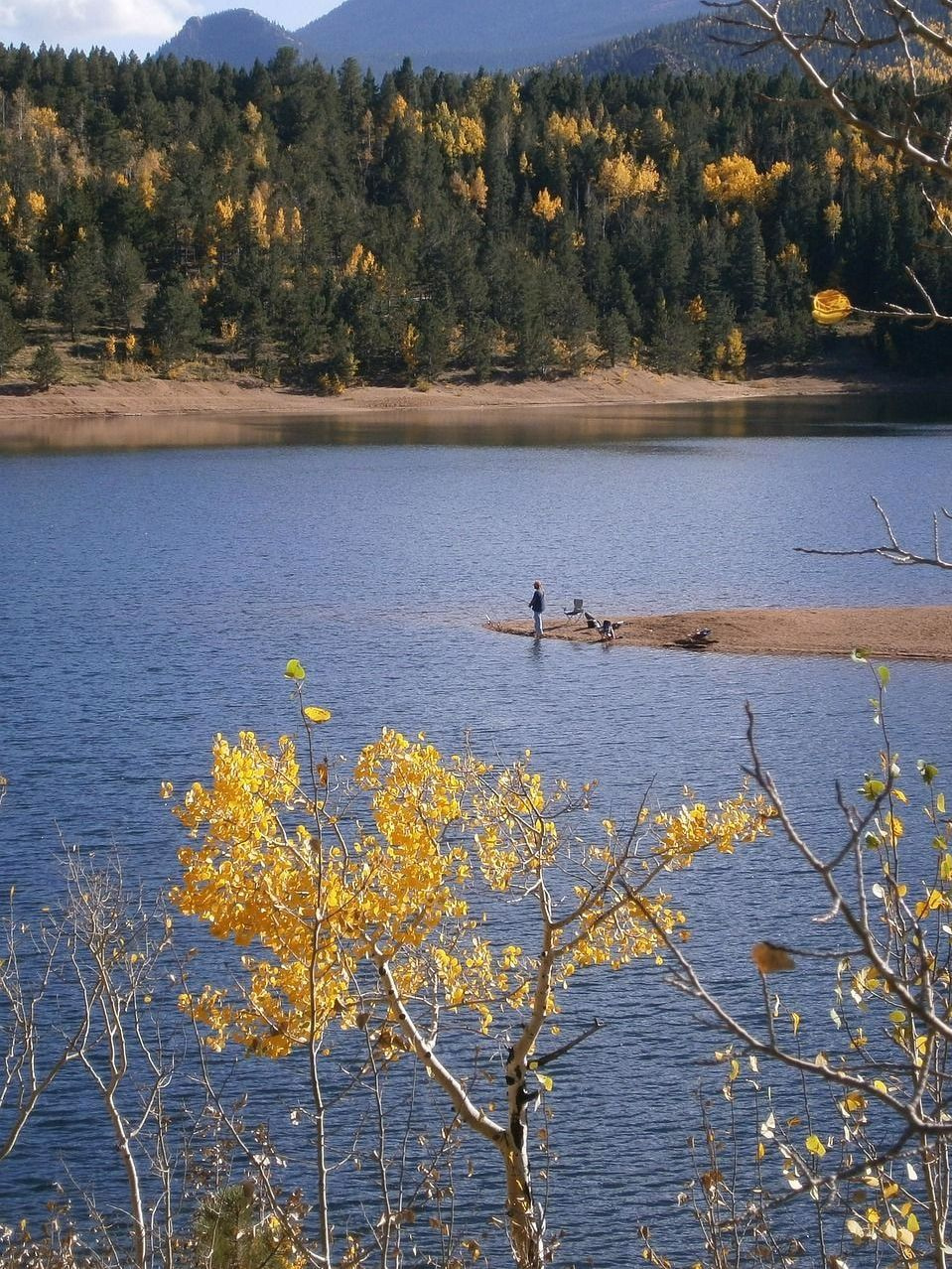 সীমিত সংস্করণ